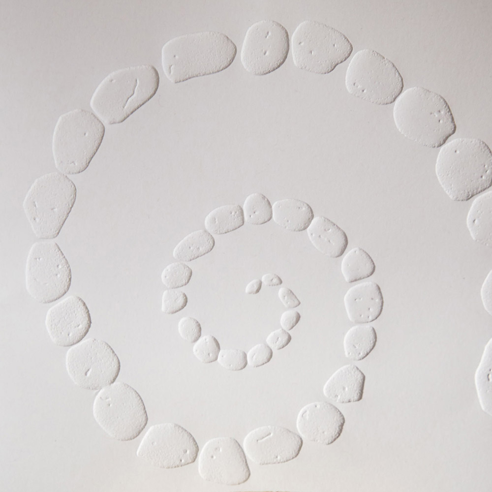 Conservation International Annual Benefit Gala